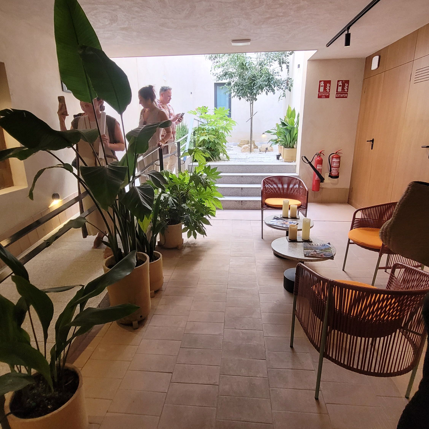 Patricia Lizalde discutiendo las últimas tendencias en diseño de interiores